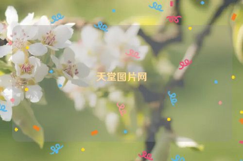 天堂图片网