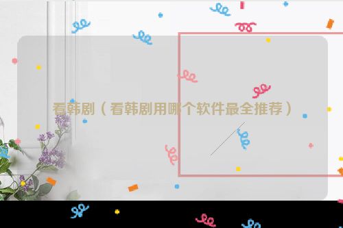 看韩剧（看韩剧用哪个软件最全推荐）