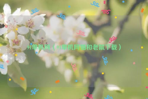 91单机网（91单机网猫和老鼠下载）