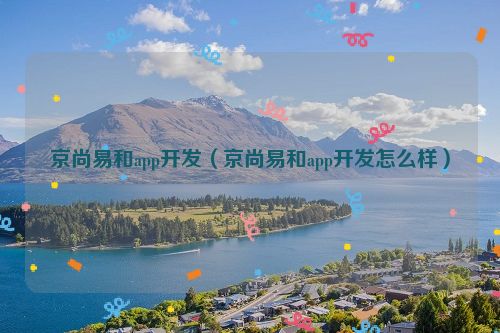 京尚易和app开发（京尚易和app开发怎么样）