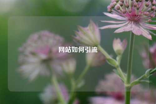网站如何引流