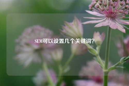 SEM可以设置几个关键词?(sem关键词分类哪八种)