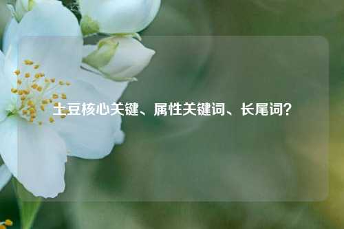 土豆核心关键、属性关键词、长尾词?(土豆的关键词)